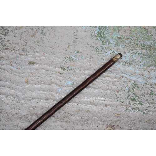 339 - A WALKING STICK WITH A HALLMARKED SILVER FINIAL