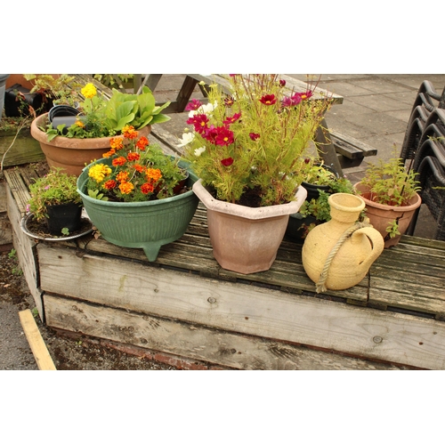 3287 - AN ASSORTMENT OF VARIOUS PLANT POTS (SOME CONTAING PLANTS)