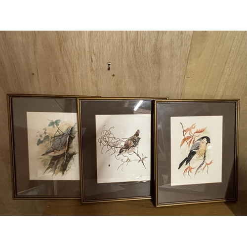 280 - THREE FRAMED WATERCOLOURS OF BIRDS SIGNED PAUL SLY