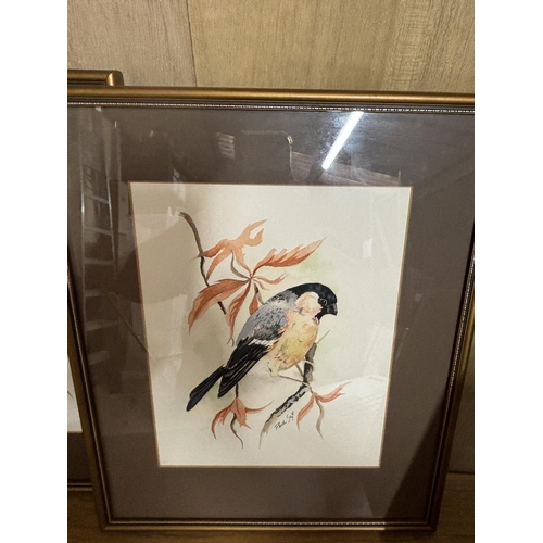 280 - THREE FRAMED WATERCOLOURS OF BIRDS SIGNED PAUL SLY