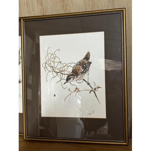 280 - THREE FRAMED WATERCOLOURS OF BIRDS SIGNED PAUL SLY