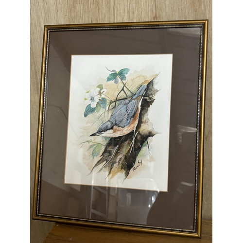 280 - THREE FRAMED WATERCOLOURS OF BIRDS SIGNED PAUL SLY