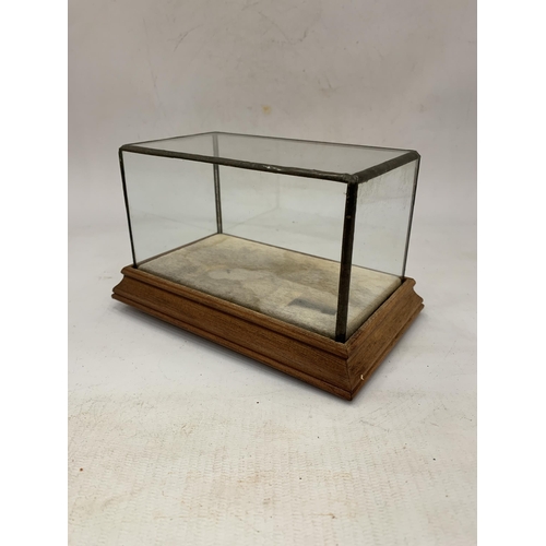 135 - A VINTAGE GLASS DISPLAY CABINET 18 CM X 11 CM