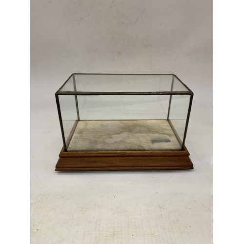 135 - A VINTAGE GLASS DISPLAY CABINET 18 CM X 11 CM