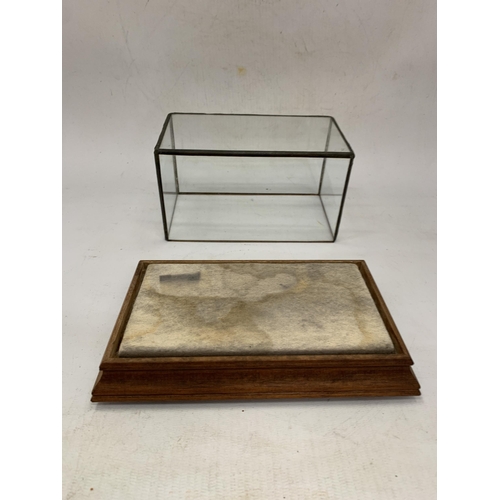 135 - A VINTAGE GLASS DISPLAY CABINET 18 CM X 11 CM