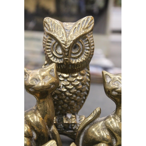 273 - A COLLECTION OF BRASS ITEMS TO INCLUDE VINTAGE CAT ASHTRAYS, CAT MODELS AN AN OWL