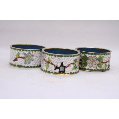 169 - THREE CLOISONNE NAPKIN RINGS