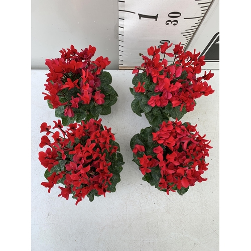 10 - FOUR RED CYCLAMEN IN 9CM POTS APPROX 30CM IN HEIGHT IN FLOWER. PLUS VAT TO BE SOLD FOR THE FOUR