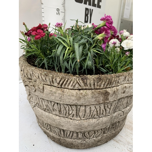 7 - ORNAMENTAL CONCRETE PLANTER FILLED WITH MIXED COLOURED DIANTHUS. APPROX 40CM DIAMETER X 26CM IN HEIG... 