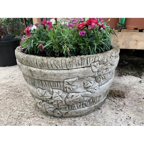 7 - ORNAMENTAL CONCRETE PLANTER FILLED WITH MIXED COLOURED DIANTHUS. APPROX 40CM DIAMETER X 26CM IN HEIG... 