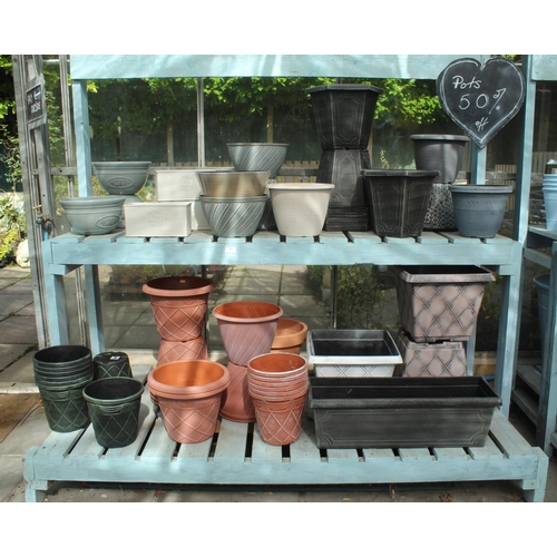 31 - DISPLAY STAND AND APPROX 54 PLASTIC POTS  PLUS VAT