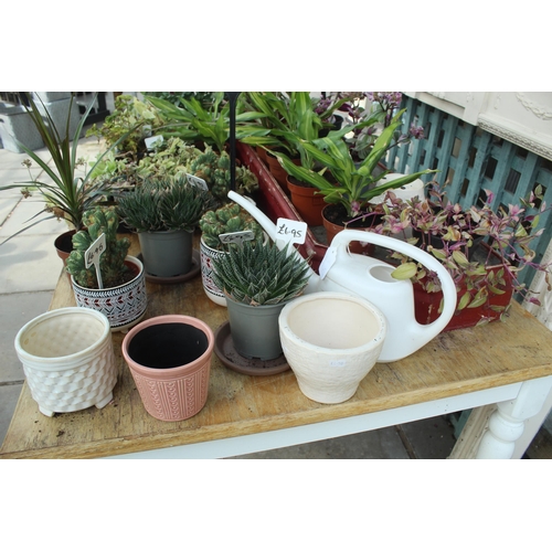 35 - TABLE AND QUANTITY OF POTS AND PLANTS PLUS VAT