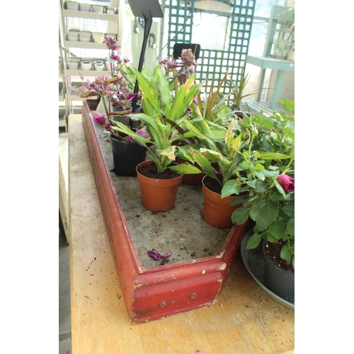 35 - TABLE AND QUANTITY OF POTS AND PLANTS PLUS VAT