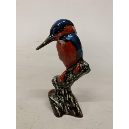 705 - AN ANITA HARRIS KINGFISHER SIGNED IN GOLD