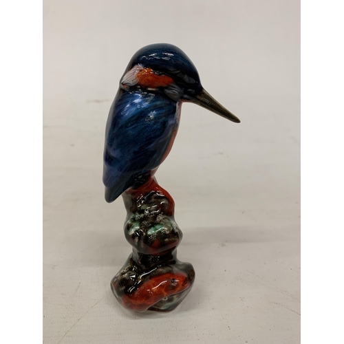 705 - AN ANITA HARRIS KINGFISHER SIGNED IN GOLD