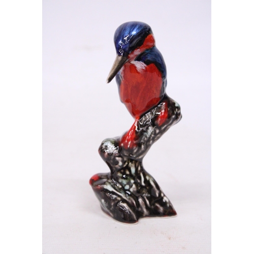 705 - AN ANITA HARRIS KINGFISHER SIGNED IN GOLD