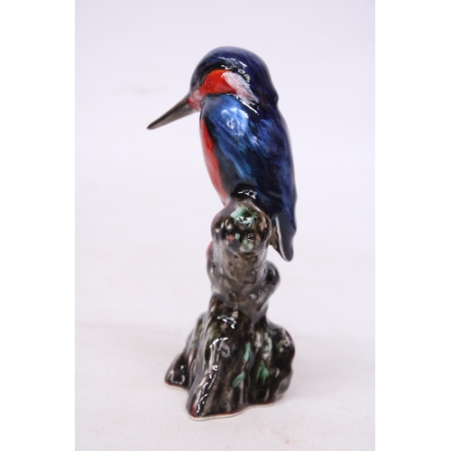 705 - AN ANITA HARRIS KINGFISHER SIGNED IN GOLD