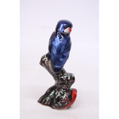 705 - AN ANITA HARRIS KINGFISHER SIGNED IN GOLD