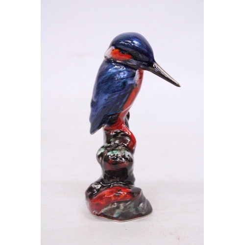 705 - AN ANITA HARRIS KINGFISHER SIGNED IN GOLD