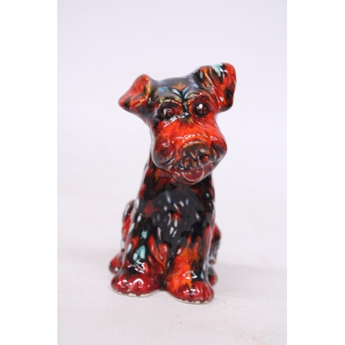 706 - AN ANITA HARRIS TERRIER DOG SIGNED IN GOLD