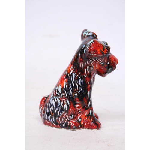 706 - AN ANITA HARRIS TERRIER DOG SIGNED IN GOLD