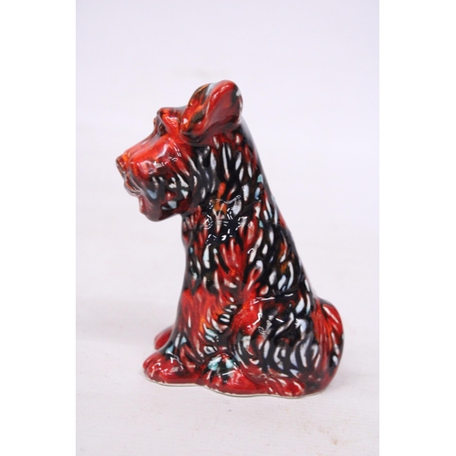 706 - AN ANITA HARRIS TERRIER DOG SIGNED IN GOLD