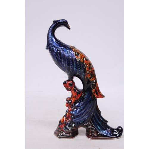 707 - A LARGE ANITA HARRIS PEACOCK SIGNED IN GOLD - 27 CM