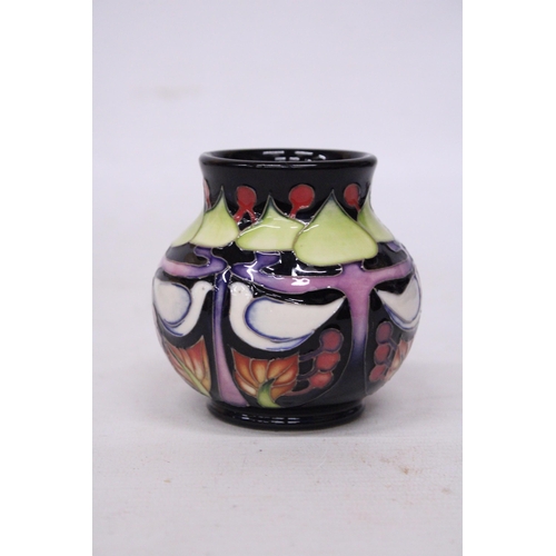 721 - A MOORCROFT 3 INCH KNOX VASE 2017