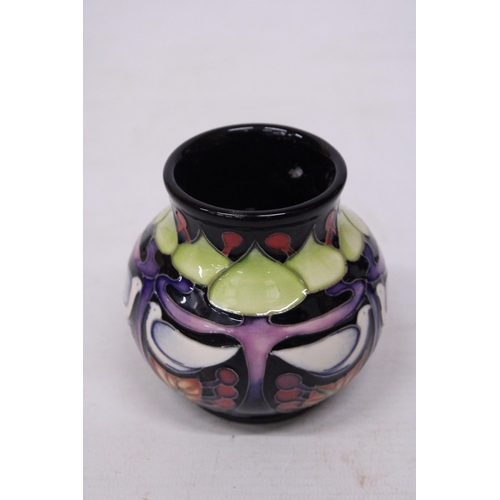 721 - A MOORCROFT 3 INCH KNOX VASE 2017