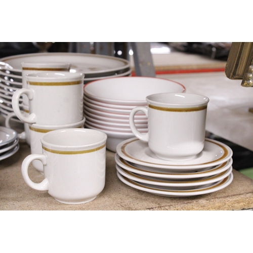 1008 - A QUANTITY OF GARLANDE FLEUR DE LUNE STONEWARE TO INCLUDE PLATES AND CUPS TOGETHER WITH MOUNTAIN WOO... 