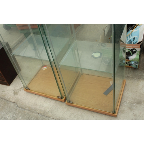 1713 - A PAIR OF GLASS DISPLAY CABINETS