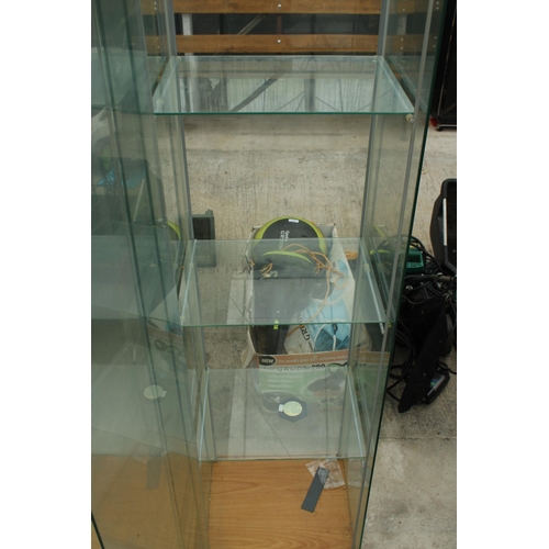 1713 - A PAIR OF GLASS DISPLAY CABINETS