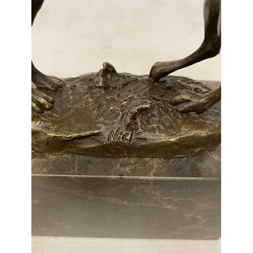 14 - A SIGNED BRONZE FIGURE OF FIGHTING HARES ON A MARBLE BASE