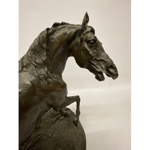 59 - A BRONZE MODEL OF A HORSE ON A PLINTH 31CM TALL