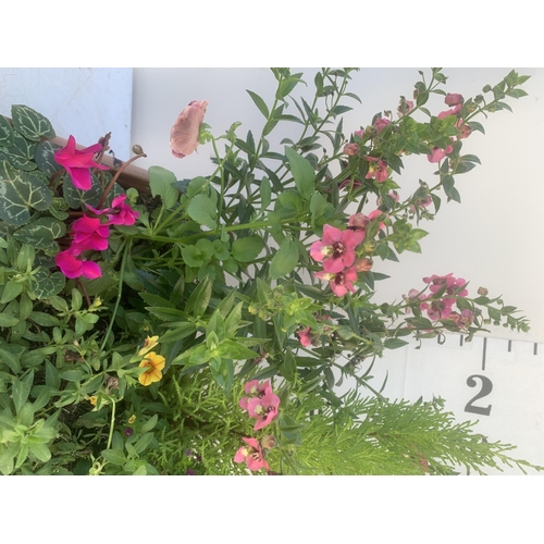 55 - ONE RECTANGULAR PLANTER FILLED WITH BEDDING PLANTS  AND A CONIFER. APPROX 60CM IN HEIGHT, THE TROUGH... 