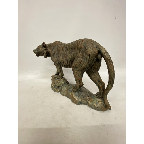 63 - A LARGE RESIN MODEL OF A TIGER HEIGHT 29CM LENGTH 40CM (FRONT LEG A/F)