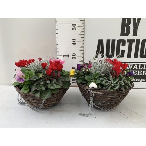 6 - TWO RATTAN HANGING BASKETS FILLED WITH WINTER BEDDING FLOWERS INCLUDING CYCLAMEN, PANSIES ETC. 30CM ... 