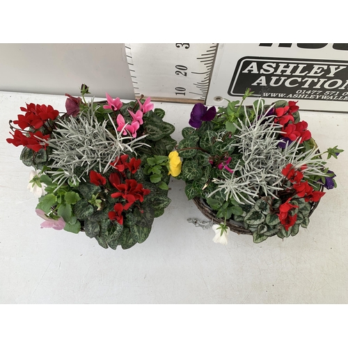 6 - TWO RATTAN HANGING BASKETS FILLED WITH WINTER BEDDING FLOWERS INCLUDING CYCLAMEN, PANSIES ETC. 30CM ... 