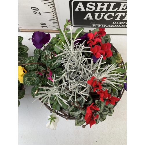 6 - TWO RATTAN HANGING BASKETS FILLED WITH WINTER BEDDING FLOWERS INCLUDING CYCLAMEN, PANSIES ETC. 30CM ... 