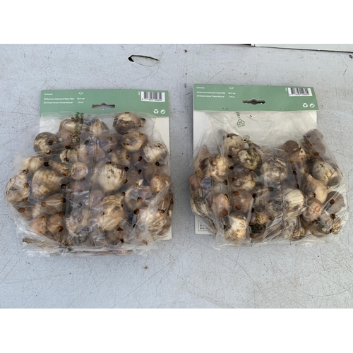 224 - ONE HUNDRED 'SPRING MIX' BULBS - NARCISSUS AND CROCUS IN TWO PACKS. PLUS VAT TO BE SOLD FOR THE ONE ... 