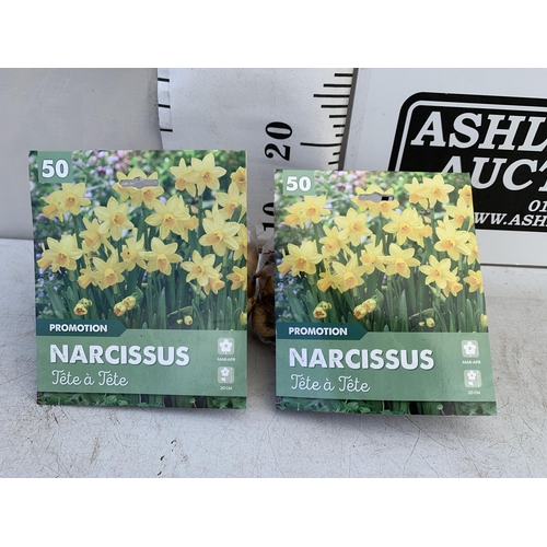 42 - ONE HUNDRED NARCISSUS AND CROCUS BULBS IN TWO PACKS 'SPRING MIX'. PLUS VAT TO BE SOLD FOR THE ONE HU... 