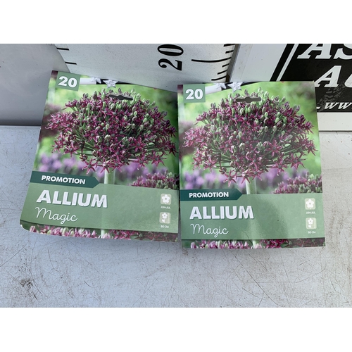 46 - FORTY ALLIUM BULBS IN TWO PACKS. PLUS VAT TO BE SOLD FOR THE FORTY