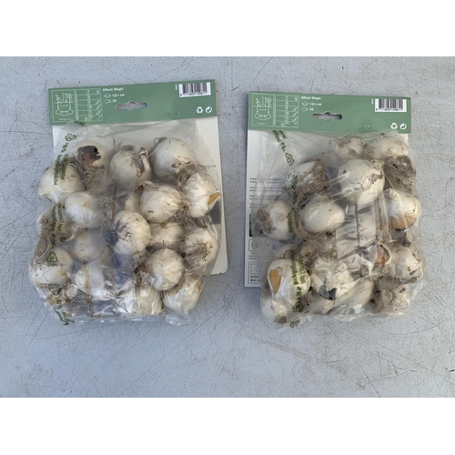 46 - FORTY ALLIUM BULBS IN TWO PACKS. PLUS VAT TO BE SOLD FOR THE FORTY