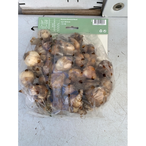 52 - FORTY BOTANICAL MIXED NARCISSUS BULBS IN A PACK. PLUS VAT TO BE SOLD FOR THE FORTY