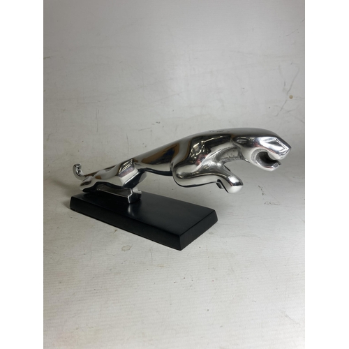 35 - A CHROME JAGUAR CAR MASCOT ON BASE