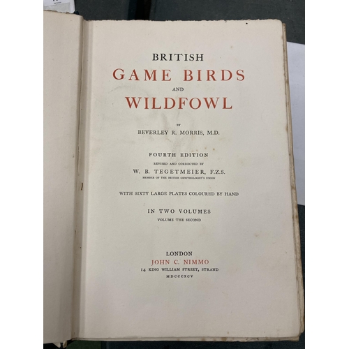 51 - TWO VOLUMES OF BRITISH GAME BIRDS AND WILDFOWL BY BEVERLEY MORRIS WITH COLOURED PLATES DATED 1895 TO... 