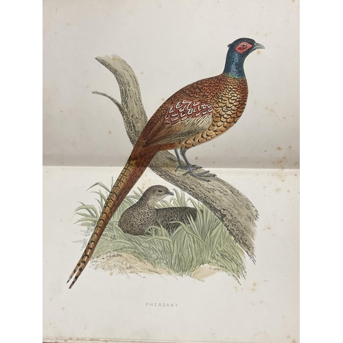 51 - TWO VOLUMES OF BRITISH GAME BIRDS AND WILDFOWL BY BEVERLEY MORRIS WITH COLOURED PLATES DATED 1895 TO... 