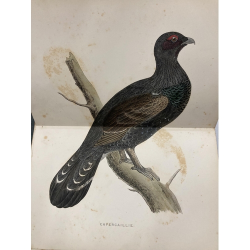 51 - TWO VOLUMES OF BRITISH GAME BIRDS AND WILDFOWL BY BEVERLEY MORRIS WITH COLOURED PLATES DATED 1895 TO... 