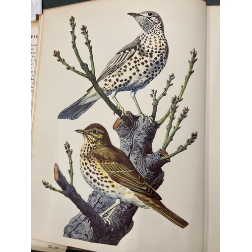 51 - TWO VOLUMES OF BRITISH GAME BIRDS AND WILDFOWL BY BEVERLEY MORRIS WITH COLOURED PLATES DATED 1895 TO... 