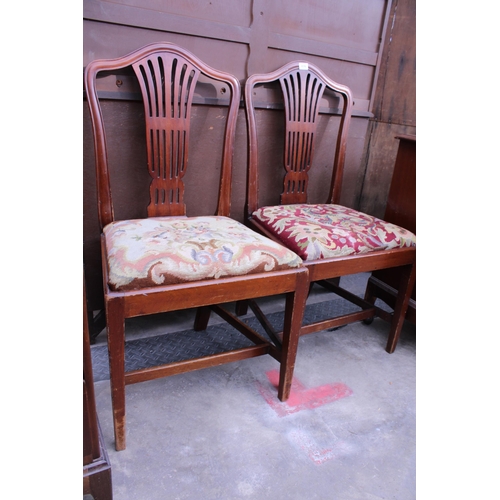 2876 - A PAIR OF MAHOGANY EDWARDIAN DINING CHAIRS WITH FLORAL WOOLWORK SEATS